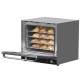 FOUR A CONVECTION PROFESSIONNEL