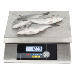 Balance inox Scale precision i7S