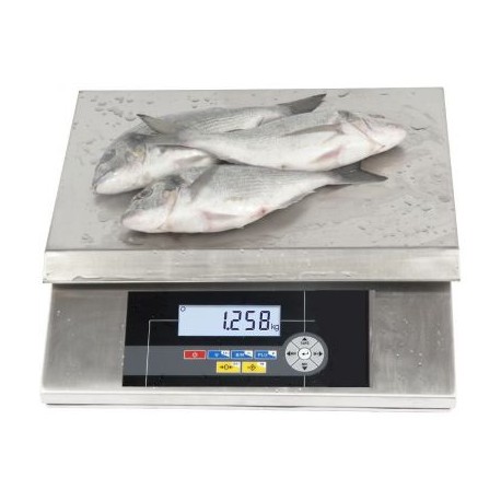 Balance inox Scale precision i7S